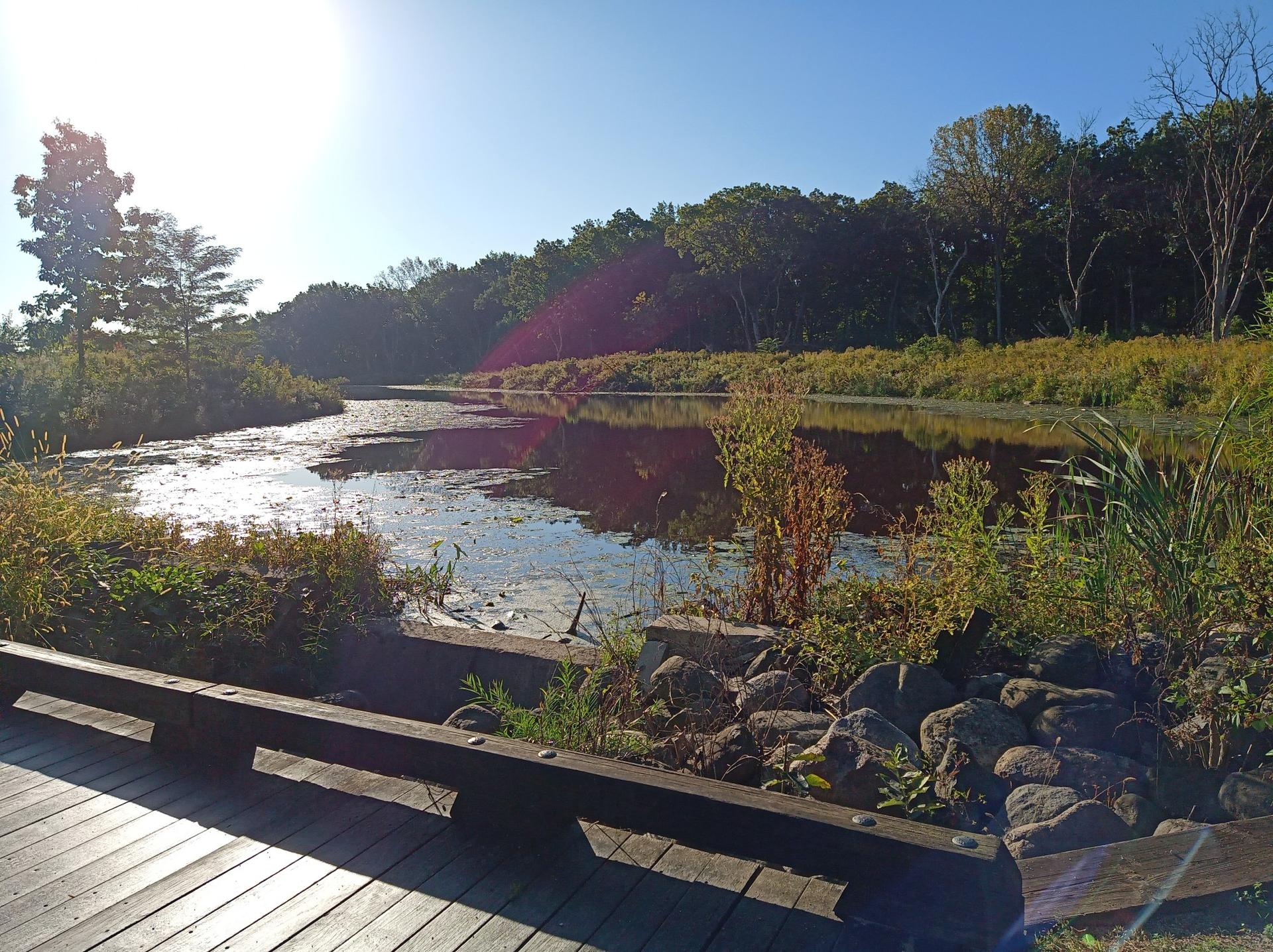 A wooden boardwalk next to a sunlit river, surrounded by autumn foliage.