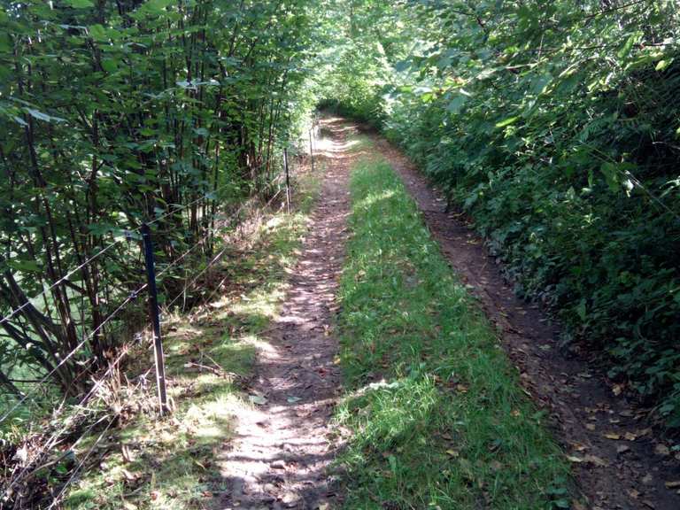 Korte route tussen Premich en Hohn: MTB-routes en trails | Komoot
