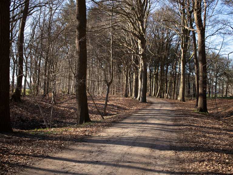 Bornweg Onverharde weg Radtouren und Radwege komoot
