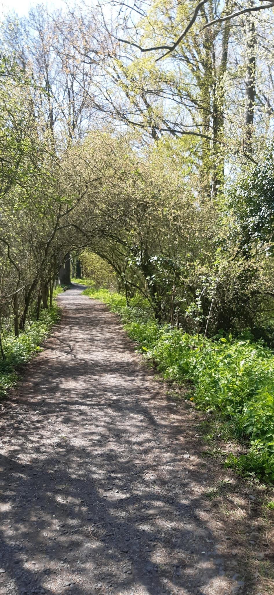 Zicht Op Kasteel De Blankaart Wandelroutes En Hikes | Komoot