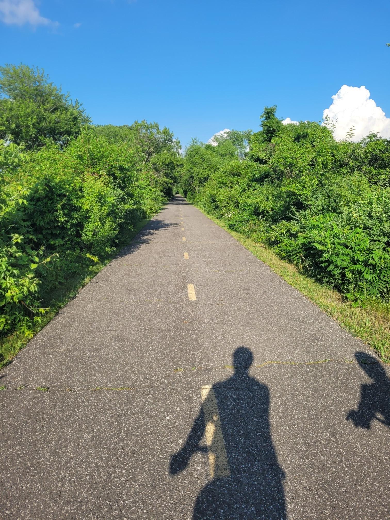 Paved path through green trees on a bright sunny day with a person's shadow.