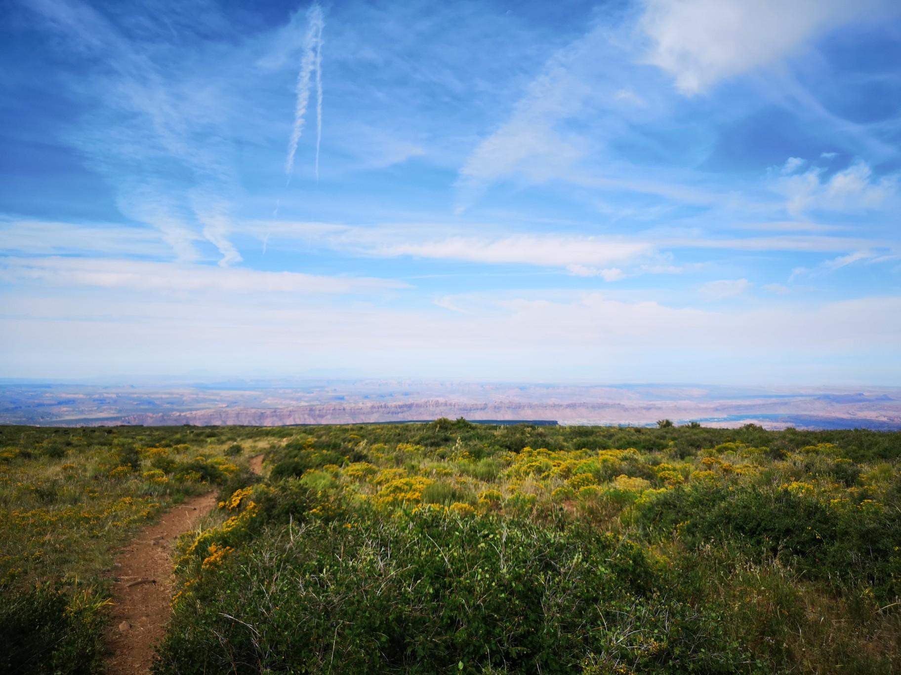 Wide-open landscape with green and yellow bushes under a blue sky.