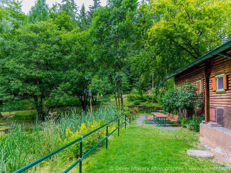 Am Alten Teich Wanderungen und Rundwege komoot