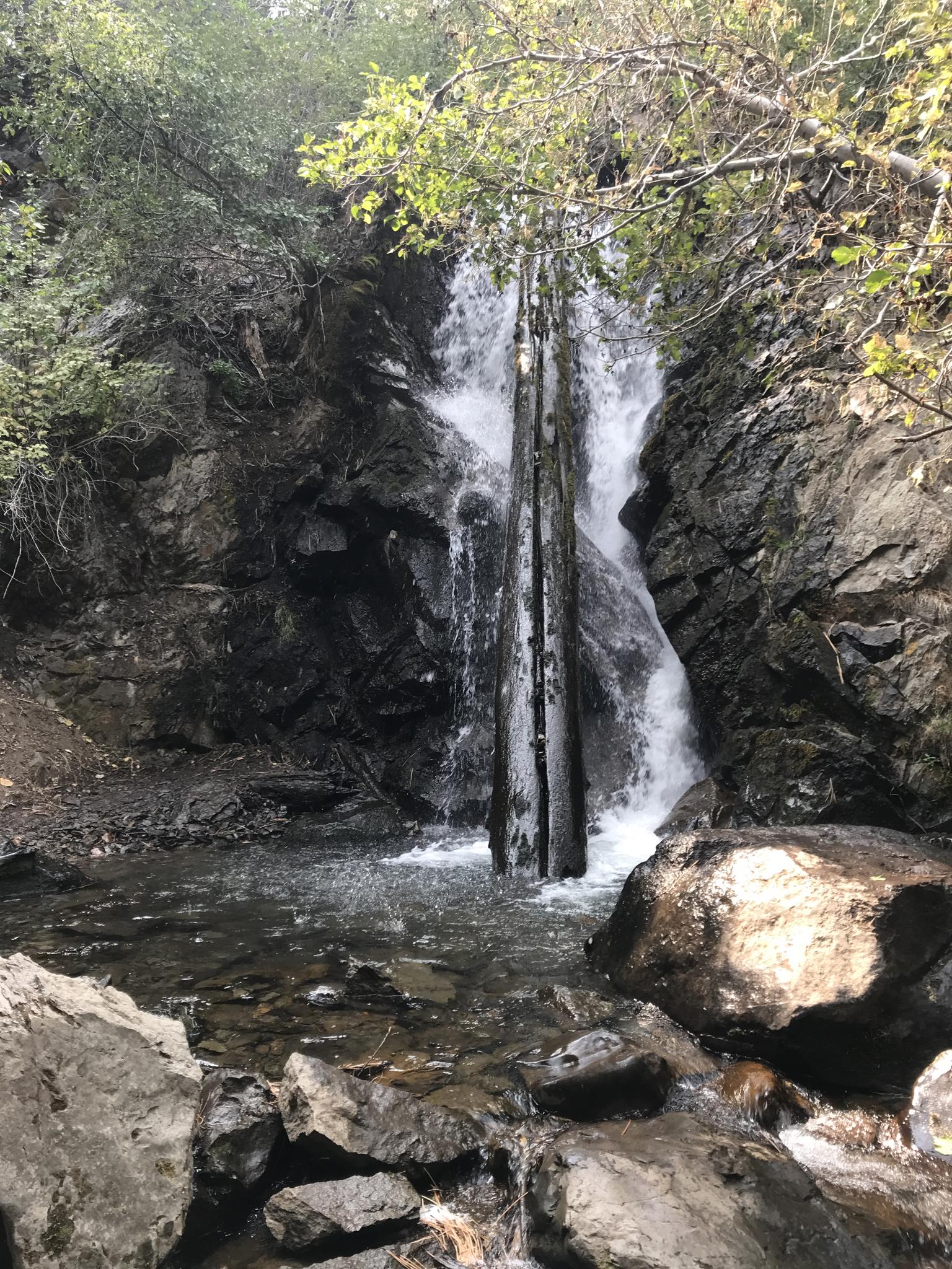 A waterfall cascades over rocks into a clear pool with fallen logs.