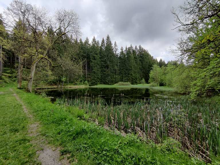Schwarzer Teich MountainbikeTouren und Trails komoot