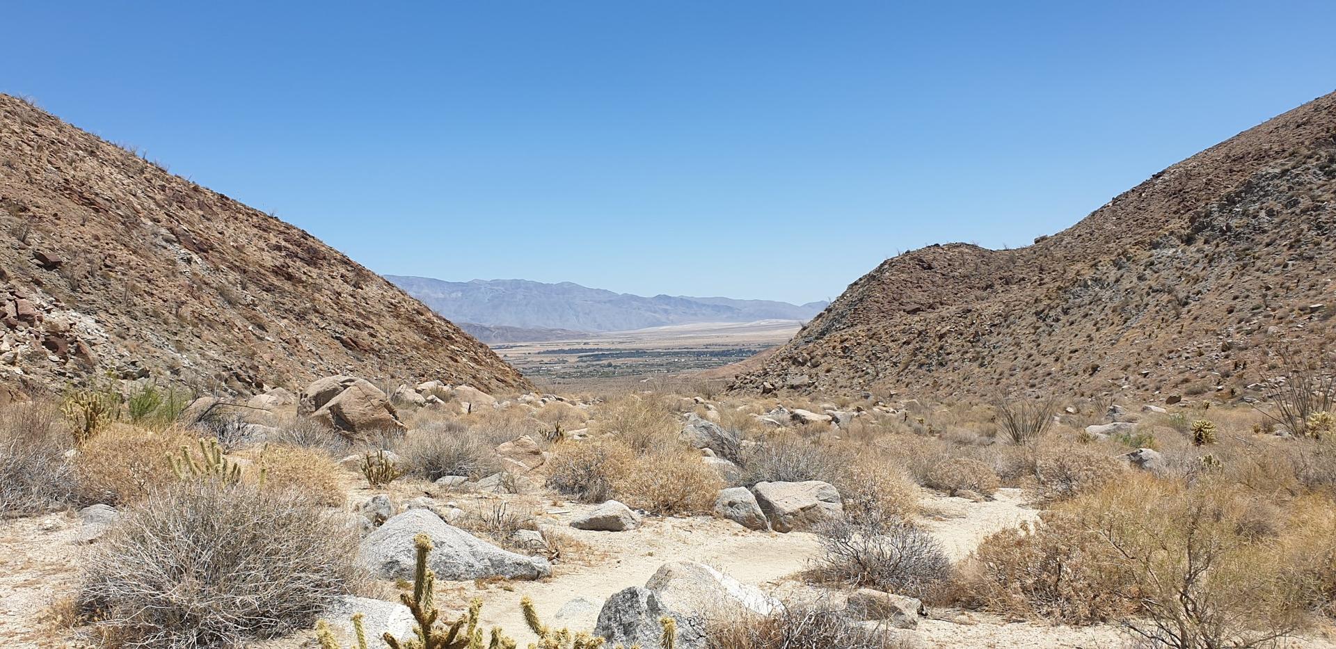 Arid desert canyon with sparse vegetation and distant mountains under clear sky.