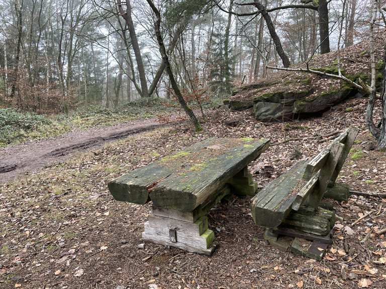 Aire de pique-nique dans la Forêt du Palatinat – Itinéraires randonnée ...