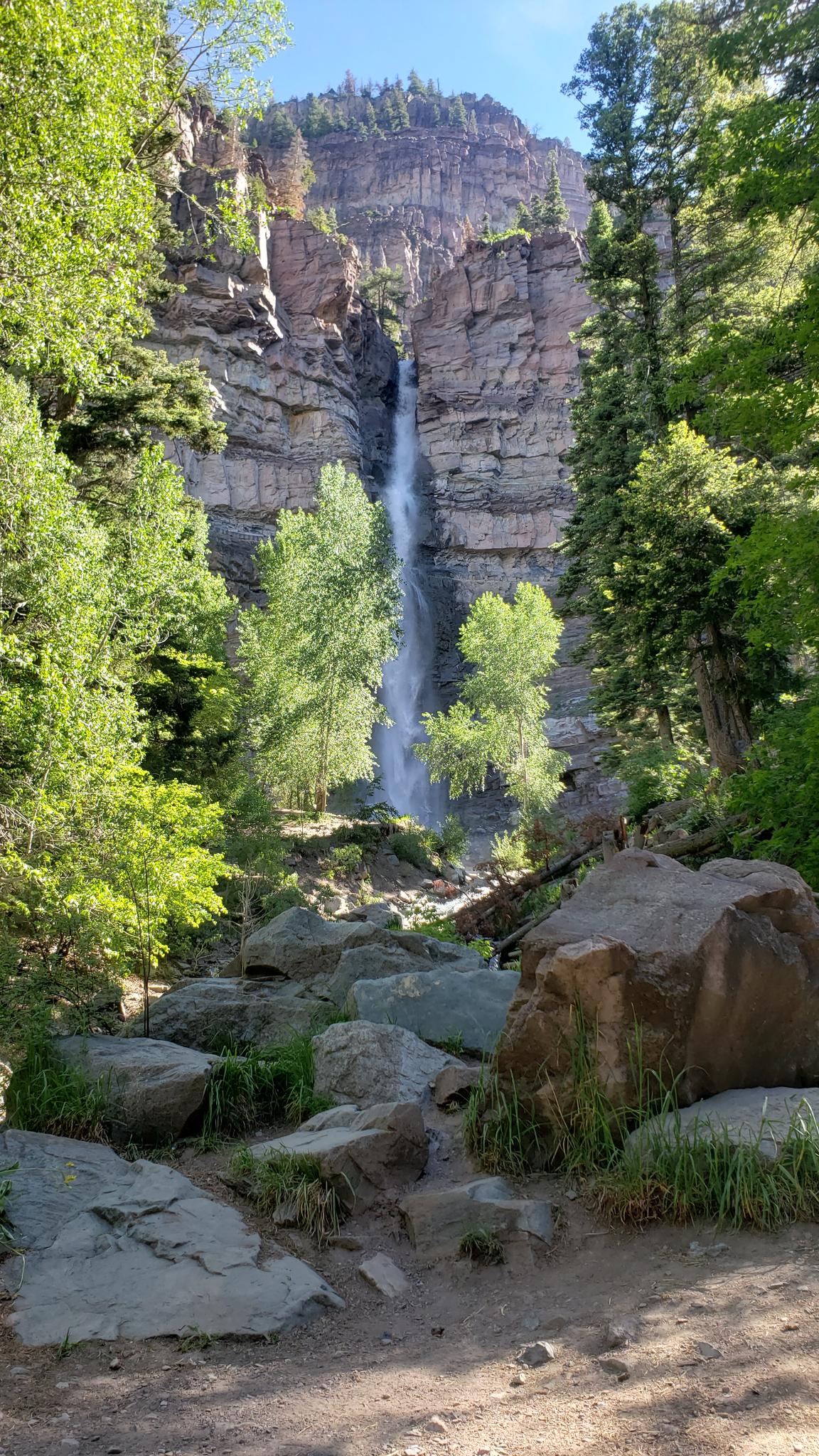 Tall waterfall plunging down a sheer cliff, surrounded by lush green trees.
