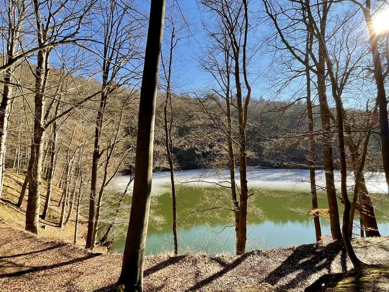 Schönsee Routes for Walking and Hiking | Komoot