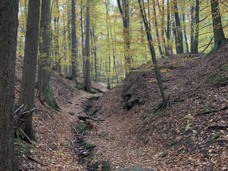 Teufelsgraben Wanderungen und Rundwege komoot