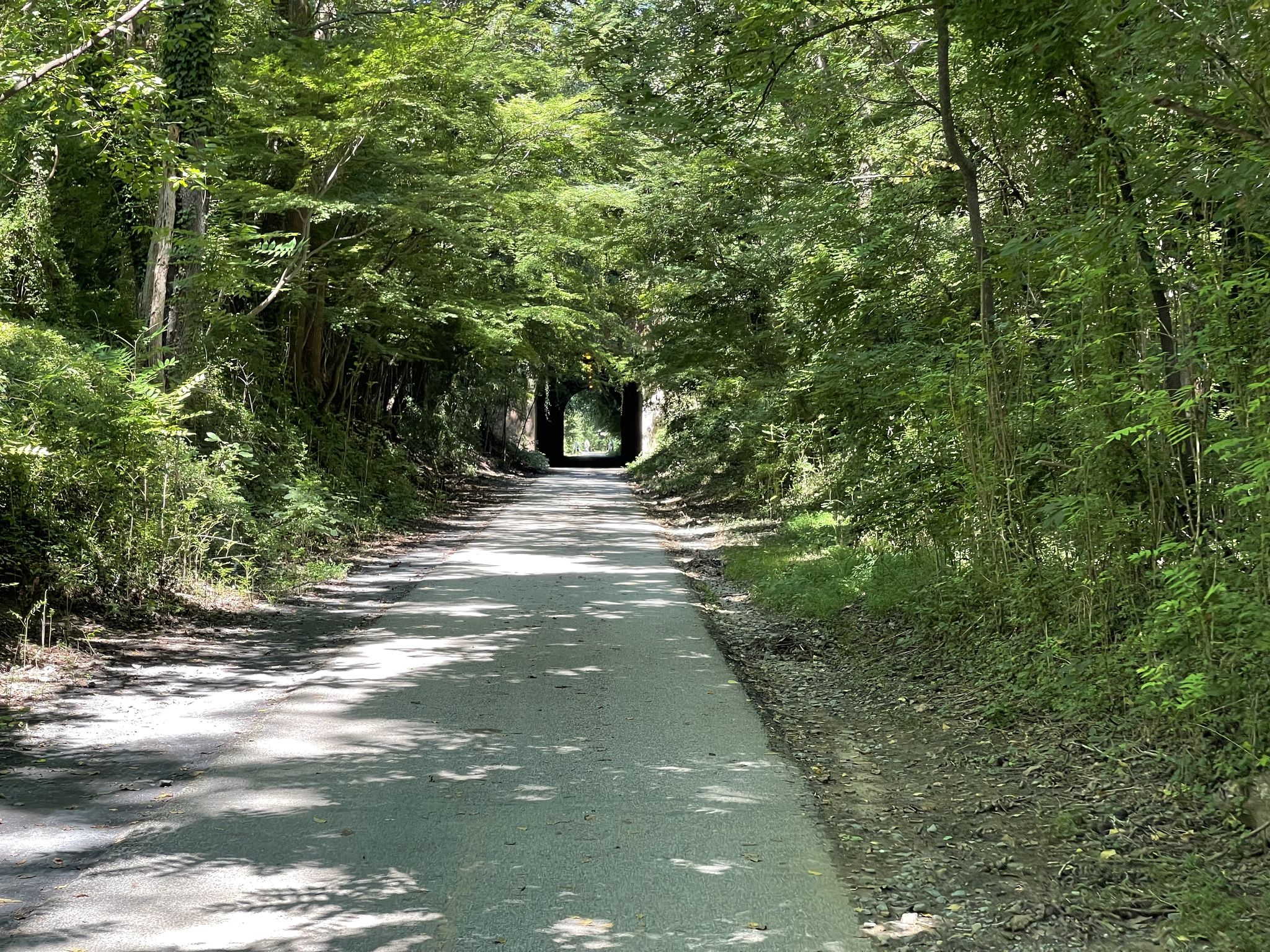 Paved path through a dense green tree tunnel with dappled sunlight. - Capital Crescent and Little Falls Trail Loop