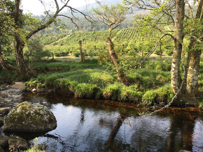 Etappe 2: Knockree nach Roundwood – Wicklow Way | Wanderung | Komoot