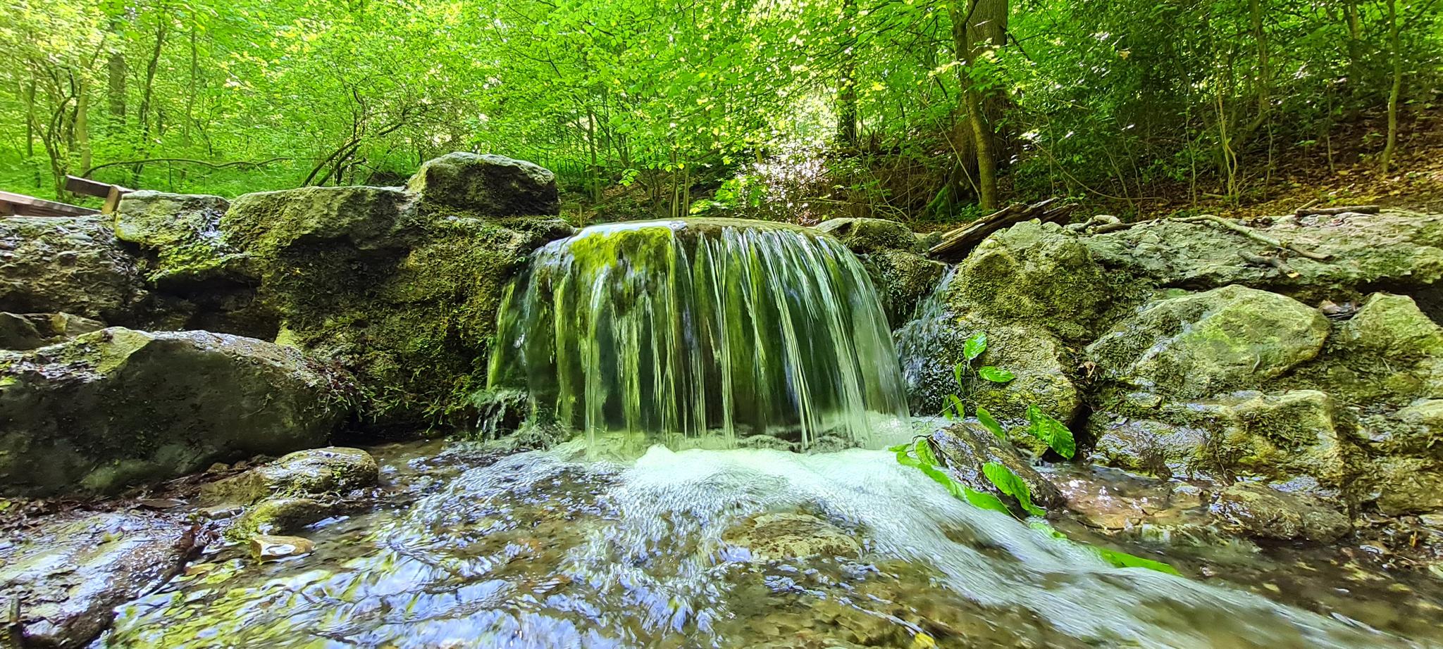 Reh-Quelle - Dissen am Teutoburger Wald