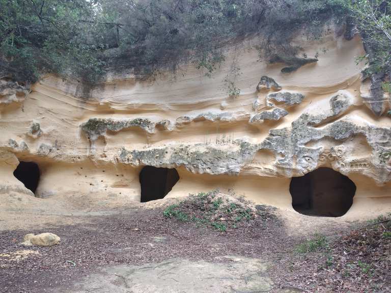 Grotte gialle bibbona MountainbikeTouren und Trails komoot