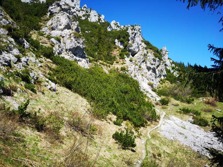 Staffelstein – Steinlingalm Runde von Aschau im Chiemgau | Wanderung ...