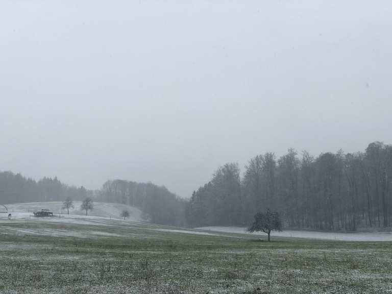 SchöneSprücheWeg Teich Dornwiese Runde von Solardraisine Mörlenbach