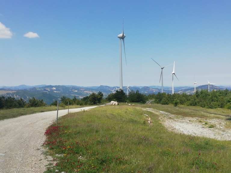 Parco eolico di Casoni di Romagna Routes for Walking and Hiking