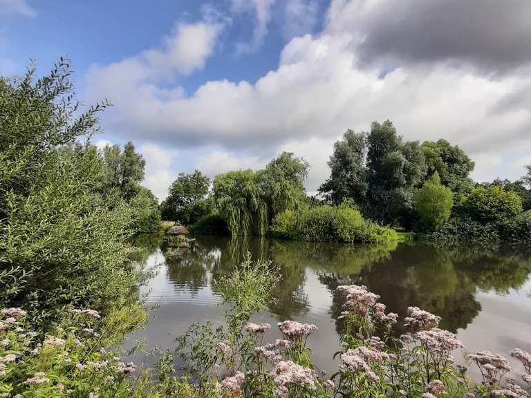 BöhmePark Soltau Blick auf den Teich Runde von Soltau Nord