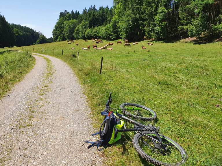 Idyllisches Tal: Mountainbike-Touren | komoot