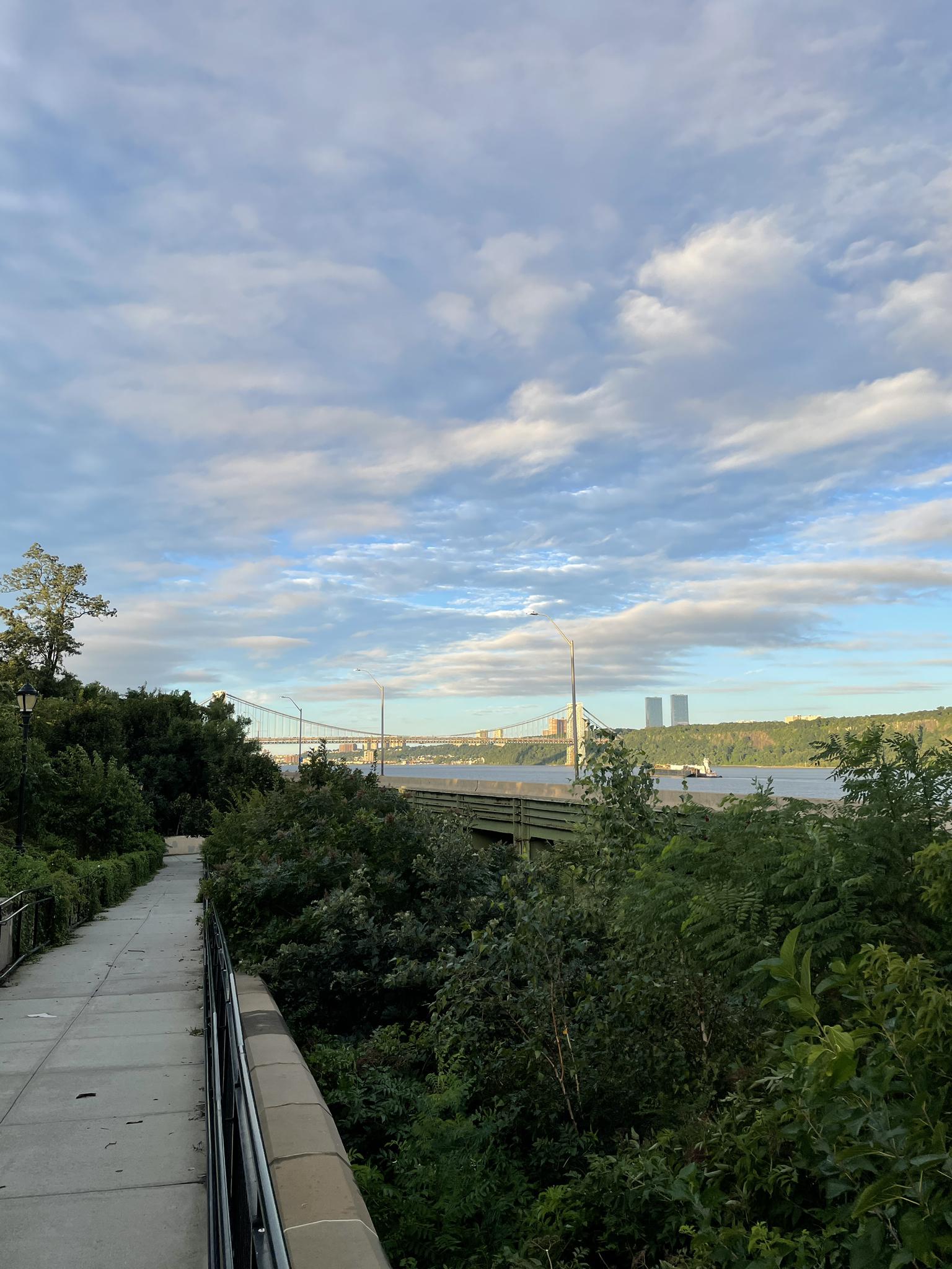 A paved path winds through green trees overlooking a distant bridge.