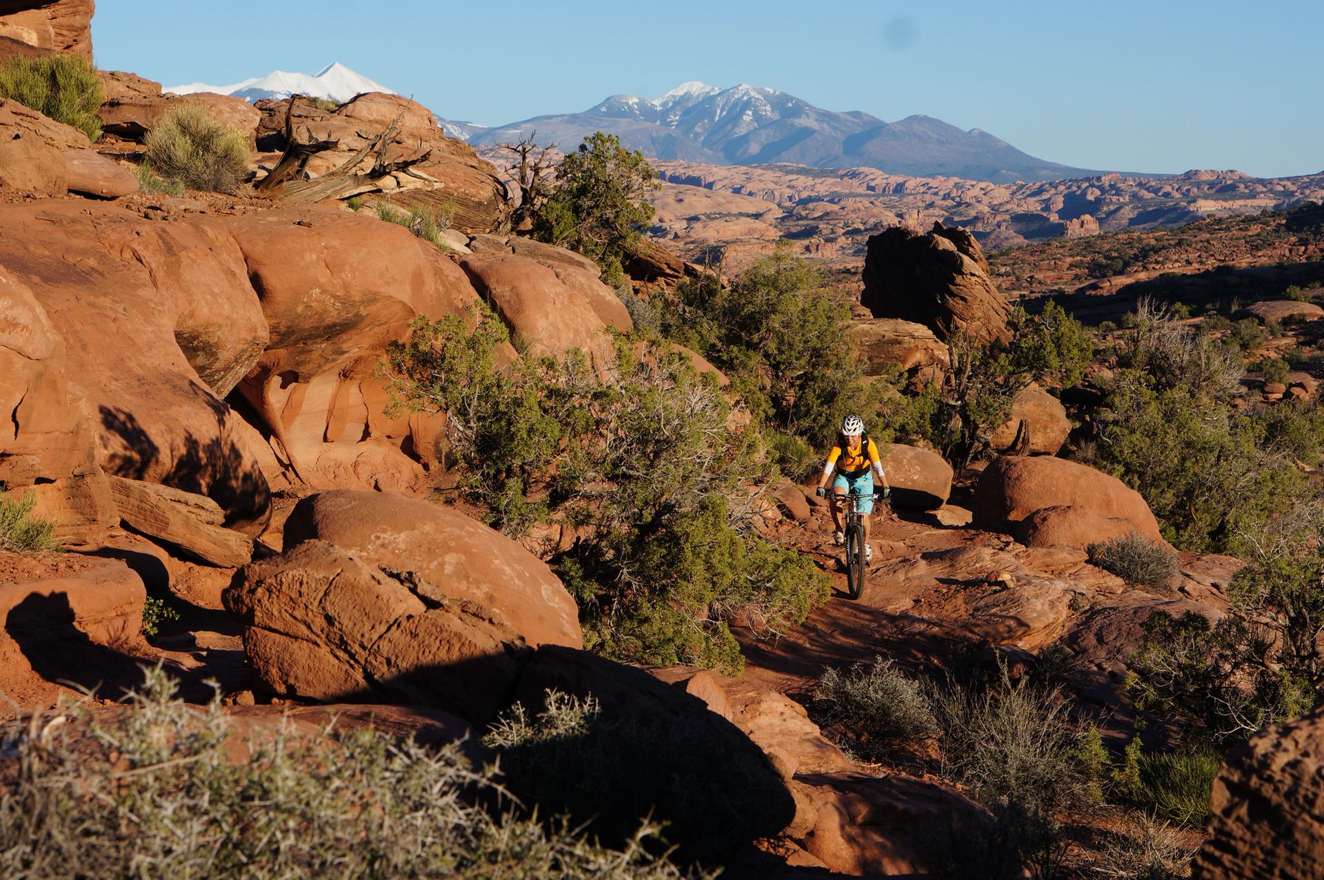 Mountain biker on a rocky trail with snow-capped mountains in the distance.