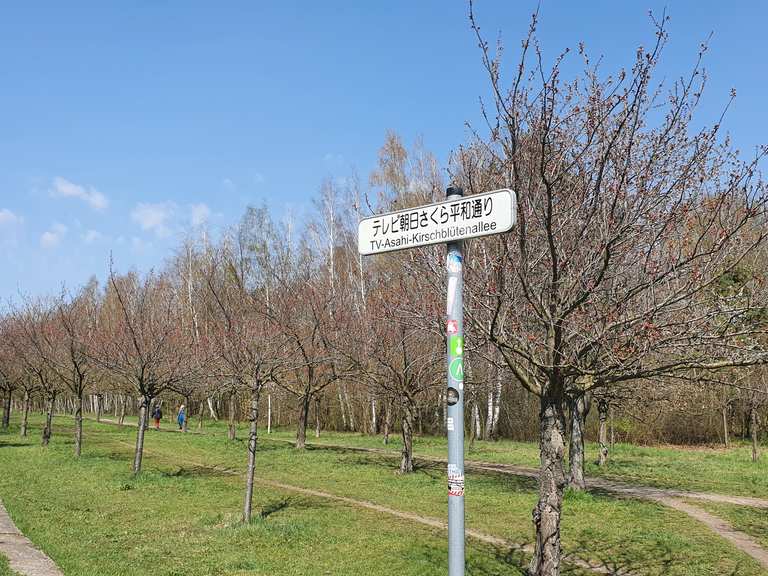 mauerweg mit fahrrad