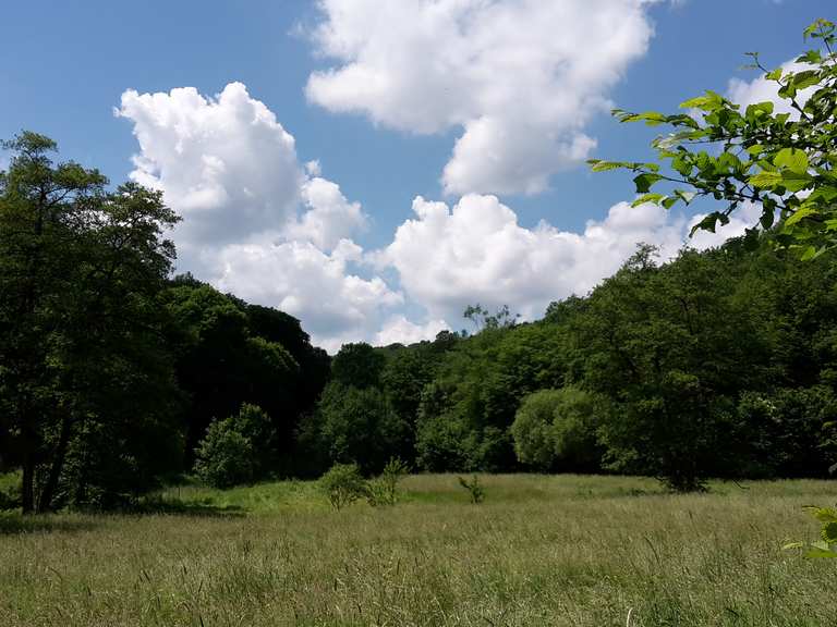 Gelbachtal Wanderungen und Rundwege komoot