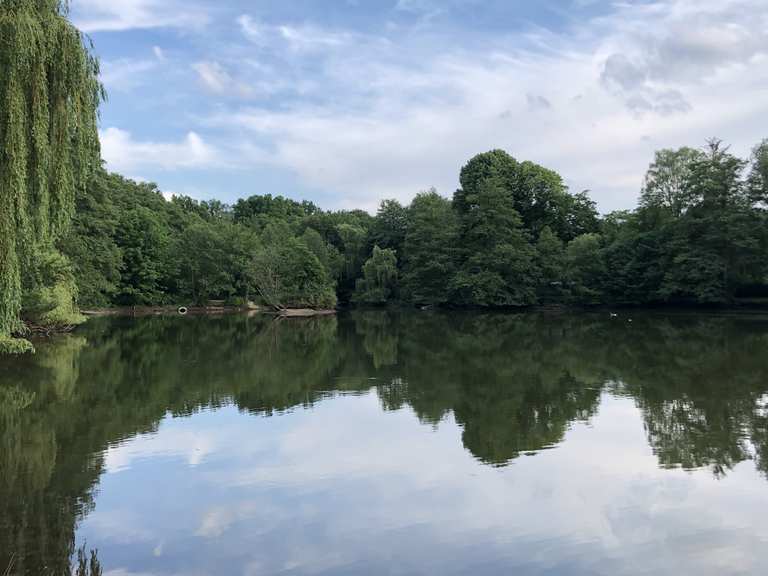 Mühlenteich Wanderungen und Rundwege komoot