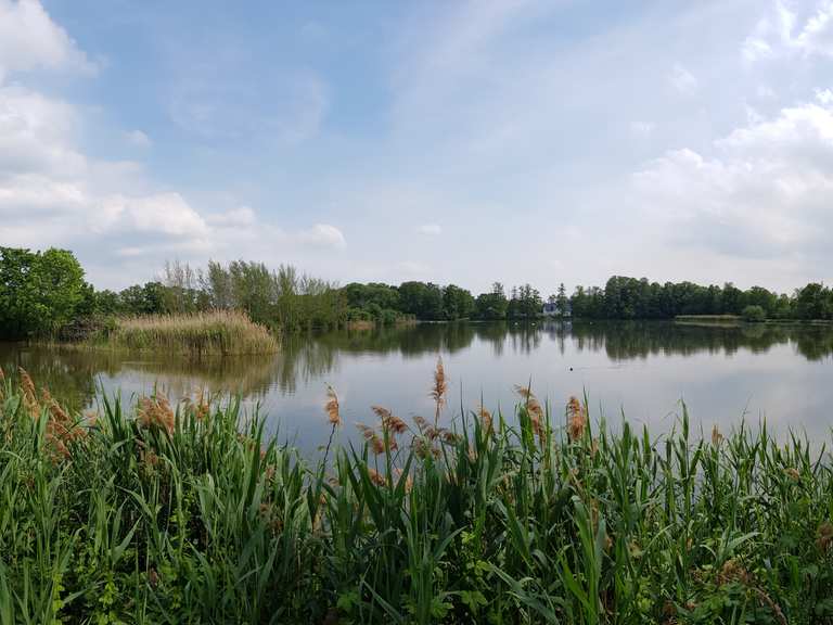 Koselitz ponds Cycle Routes and Map Komoot