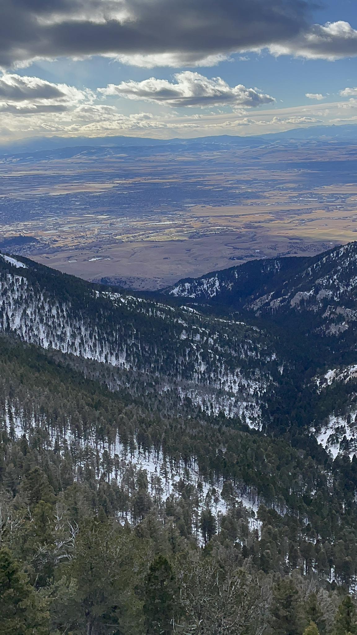 Snowy mountain valley with pine trees, overlooking a vast, distant plain.