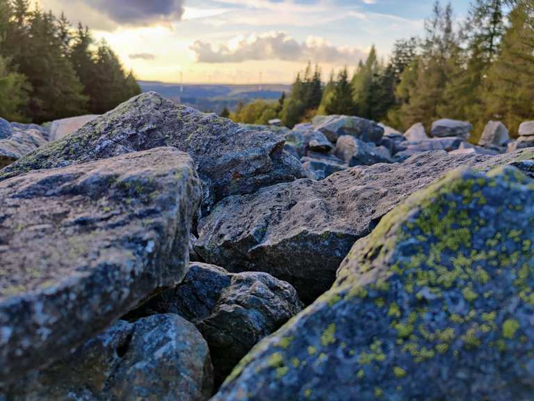 RINGWALL VON OTZENHAUSEN (Nonnweiler): Ce qu'il faut savoir pour votre  visite (avec photos)