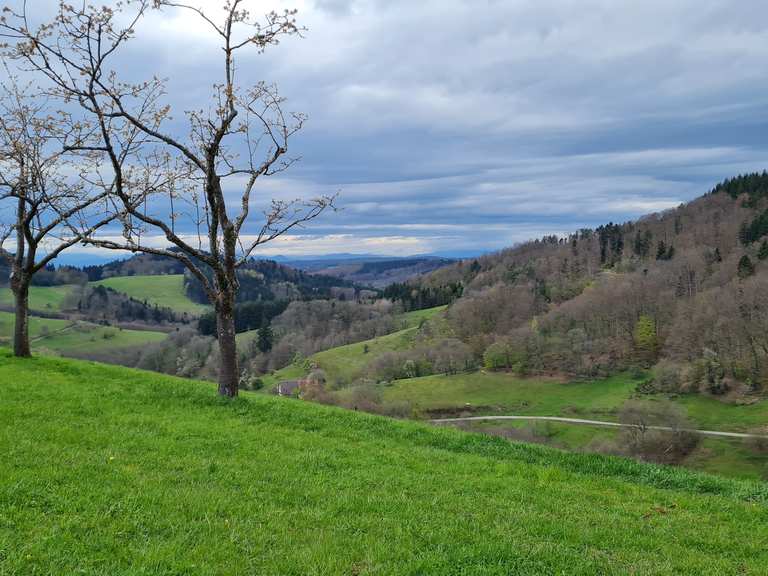 Herbstblick nach Freiamt Blick auf den Kandel Runde von Gscheid
