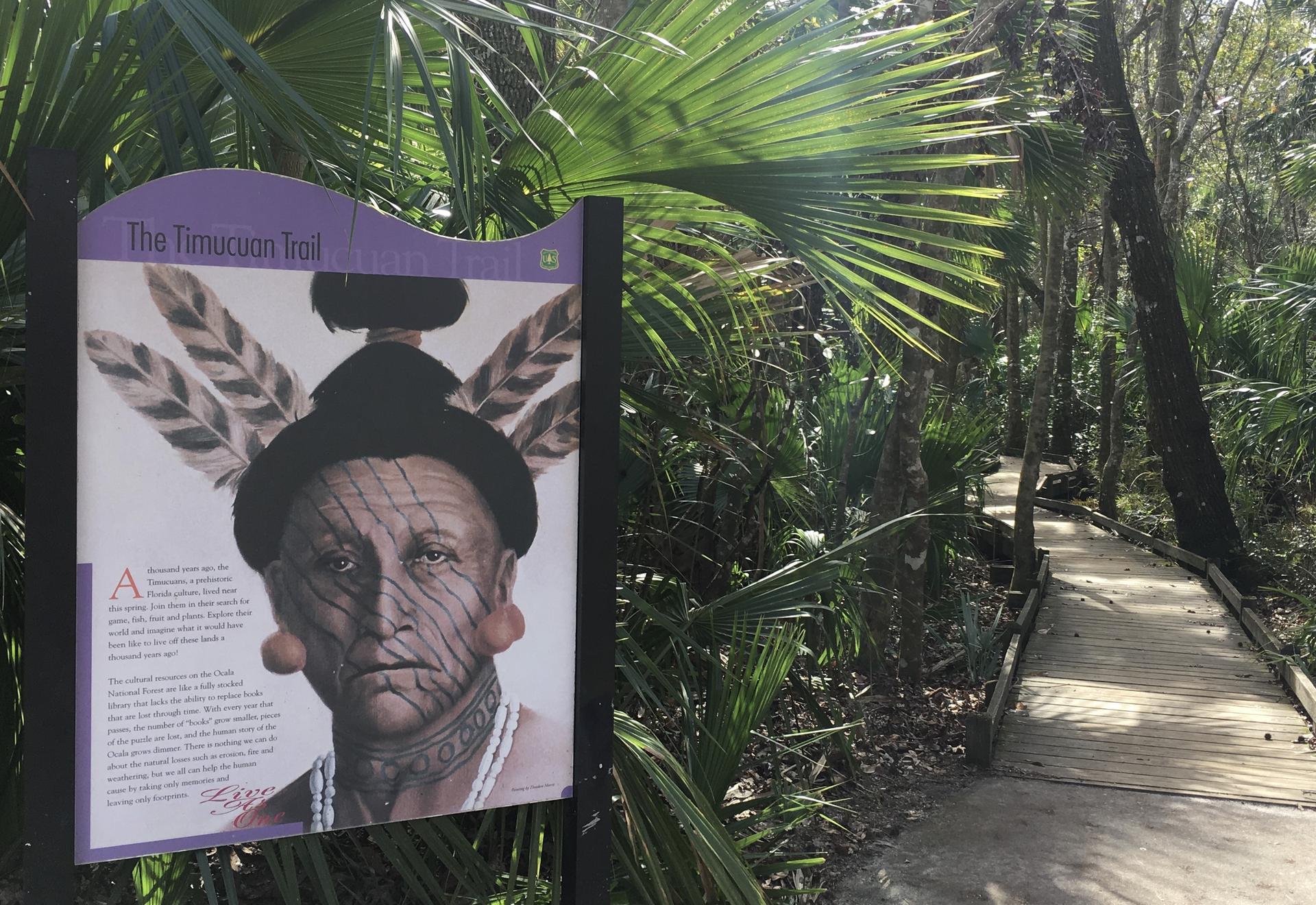 Informational sign with an illustration next to a sunny boardwalk through dense foliage.