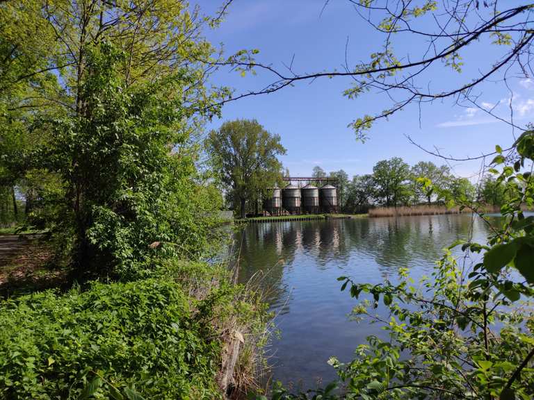 Peitzer Teiche Wanderungen und Rundwege komoot