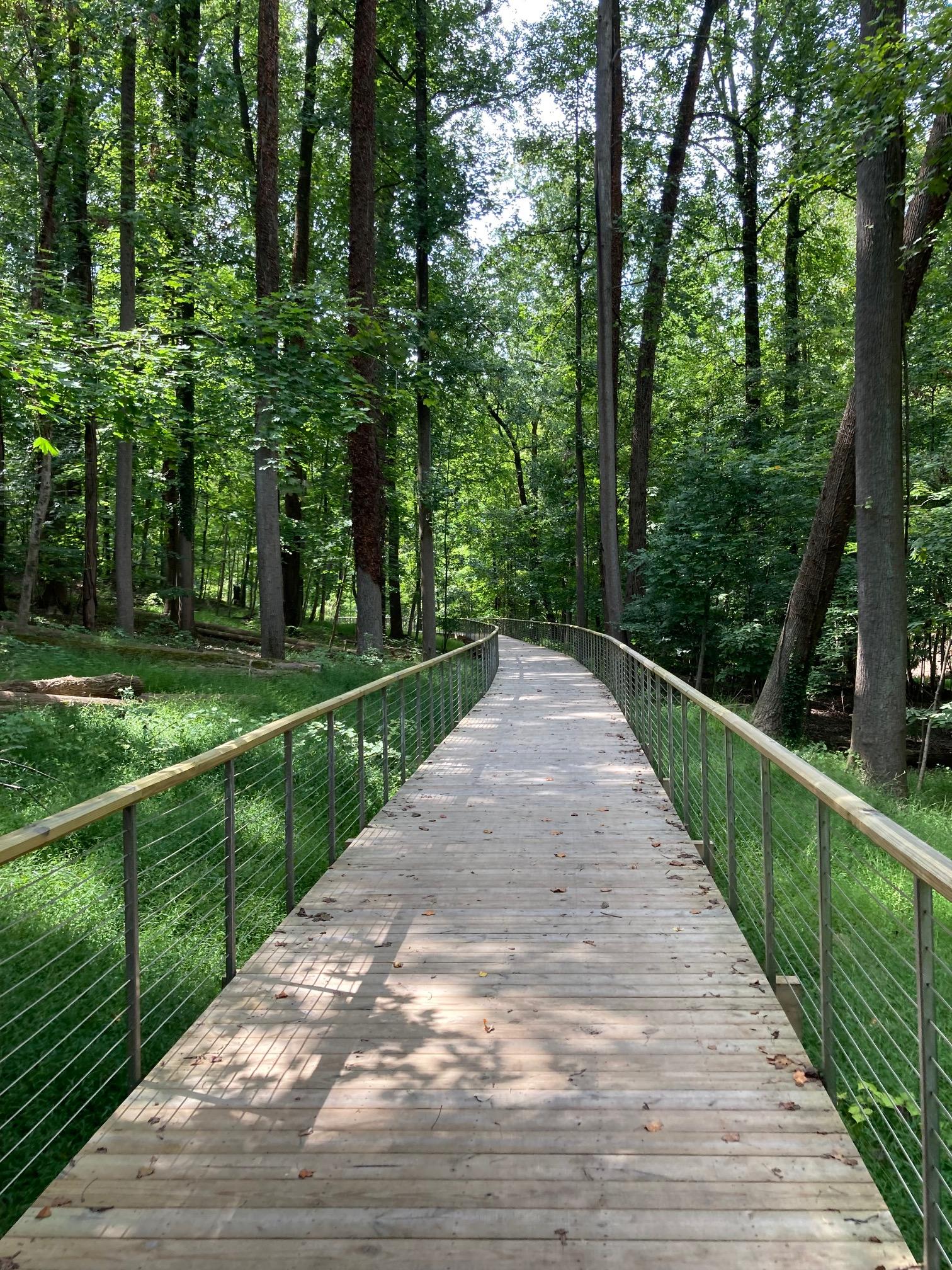 Long wooden boardwalk with railings winding through a bright green forest.