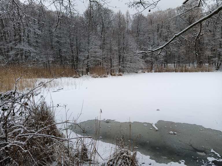 ErnstLudwigTeich Routes for Walking and Hiking Komoot
