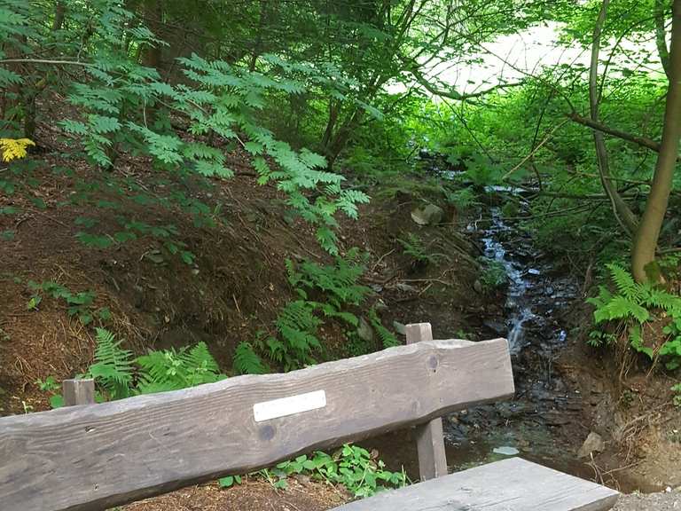 Weg zu den Bunkern des WW2 – Weitblick über die Eifel Runde von ...