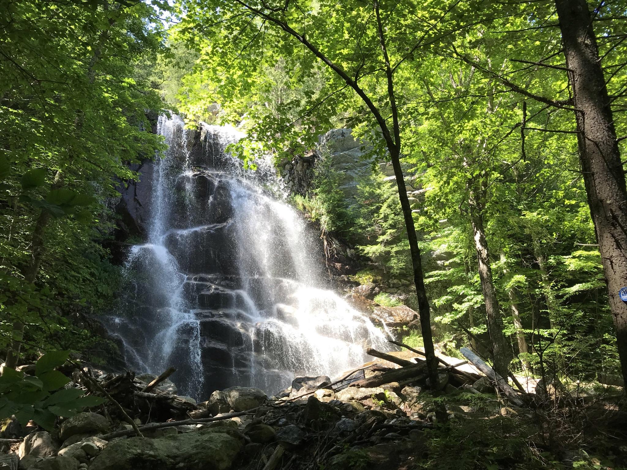 Sunlit waterfall cascading over rocks in a lush green forest.