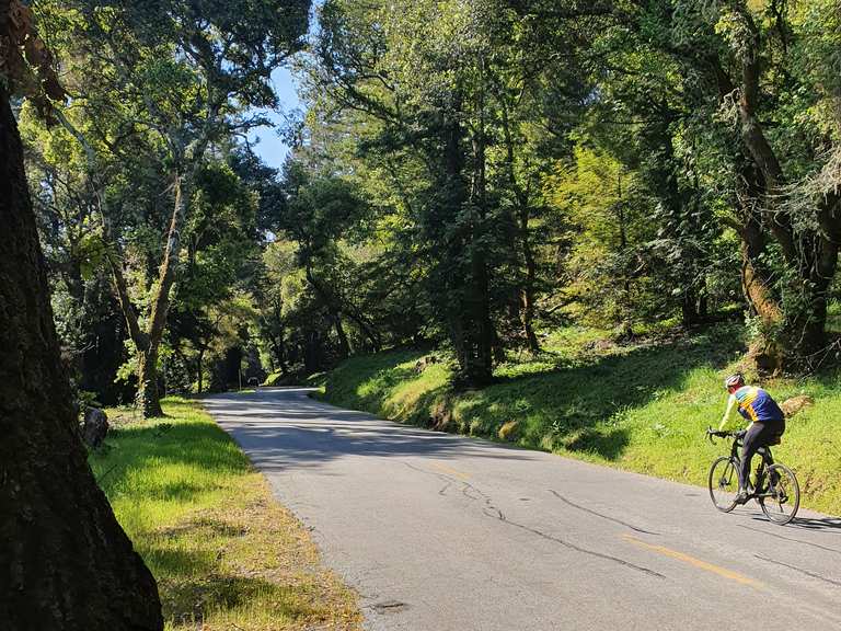 Kings Mountain Road Road Cycle Routes and Map Komoot