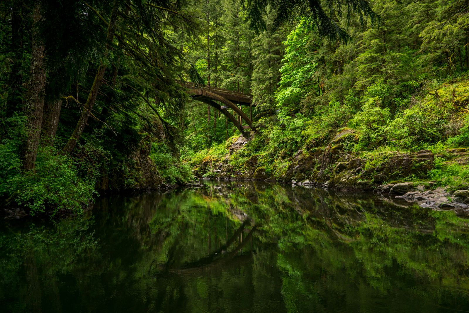 A dark river reflects a lush green forest and an arched wooden bridge. - Moulton Falls and Bells Mountain Loop