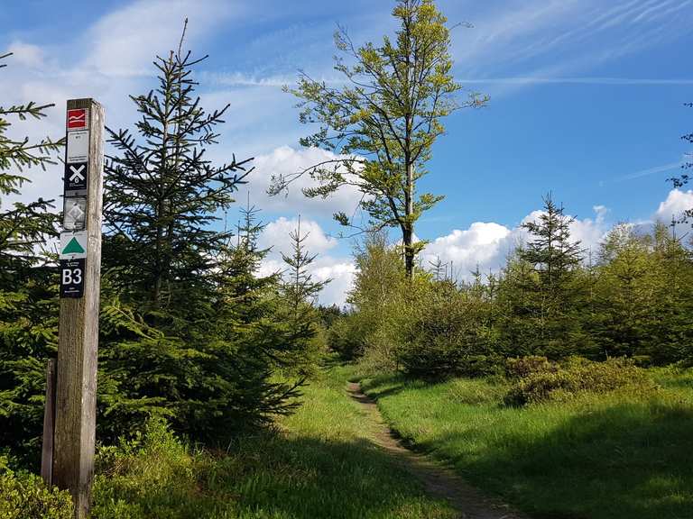 Richtplatz am Hoppernkopf Bruchhauser Steine Runde von Willingen
