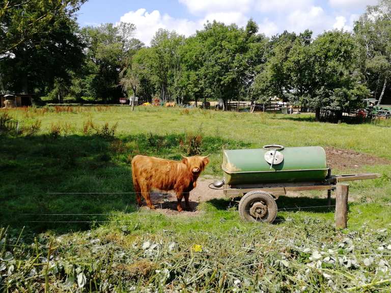 Hof Weserrind, Zu den Teichen 1 Wanderungen und Rundwege komoot