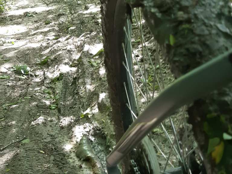 Trail delle casse di espansione del Secchia MountainbikeTouren komoot