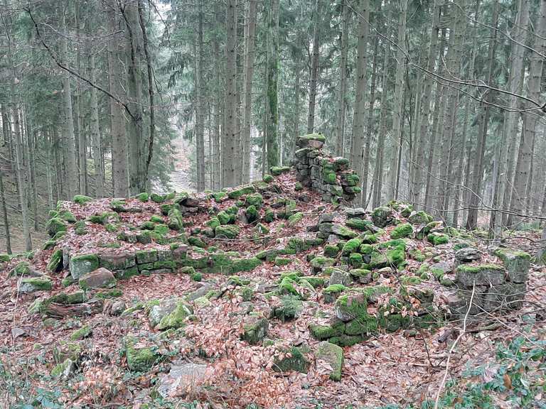Hausruine Unterferdinandsdorf (Wüstung) Wanderungen und Rundwege komoot