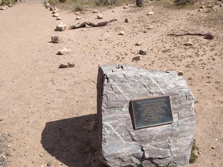 Picket Post Mountain & Trailhead Wanderungen und Rundwege komoot