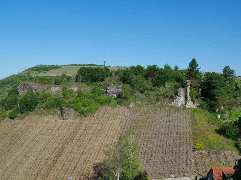 Blick auf Burg Schloßböckelheim Wanderungen und Rundwege komoot