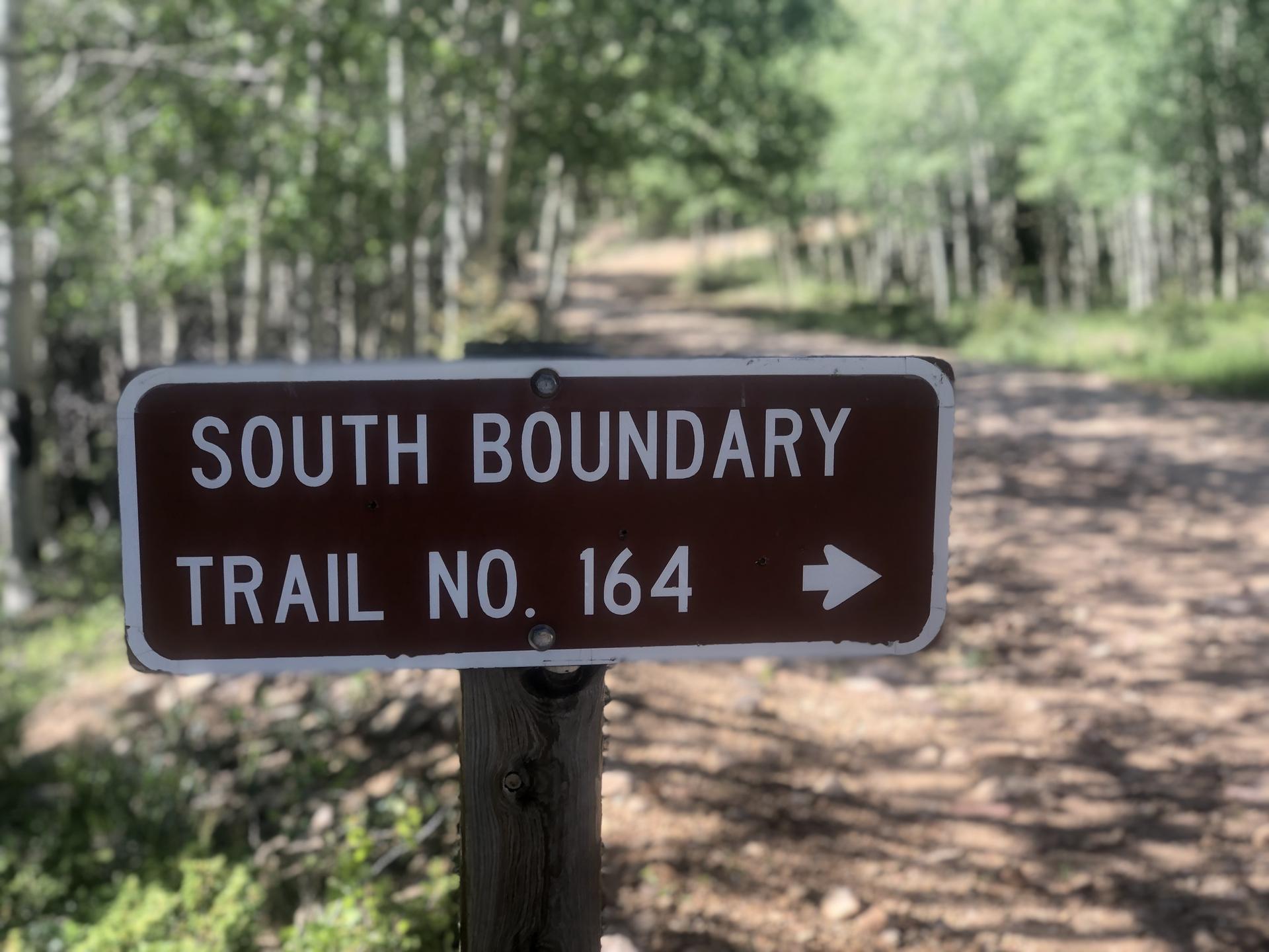 A brown trail sign pointing right on a dirt path in a forest.
