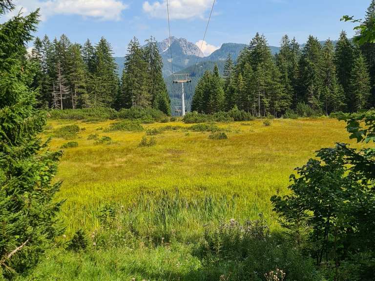 S303 Pass Gschütt And Falmbergalm Tour From Gosau - New Gravel 