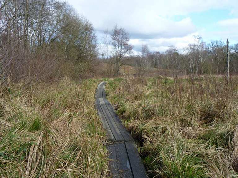 Burton and Chingford Ponds Local Nature Reserve Wanderungen und Rundwege komoot