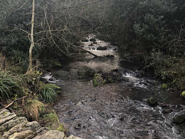 Grace Dieu woods Grace Dieu Viaduct loop from Whitwick hike Komoot